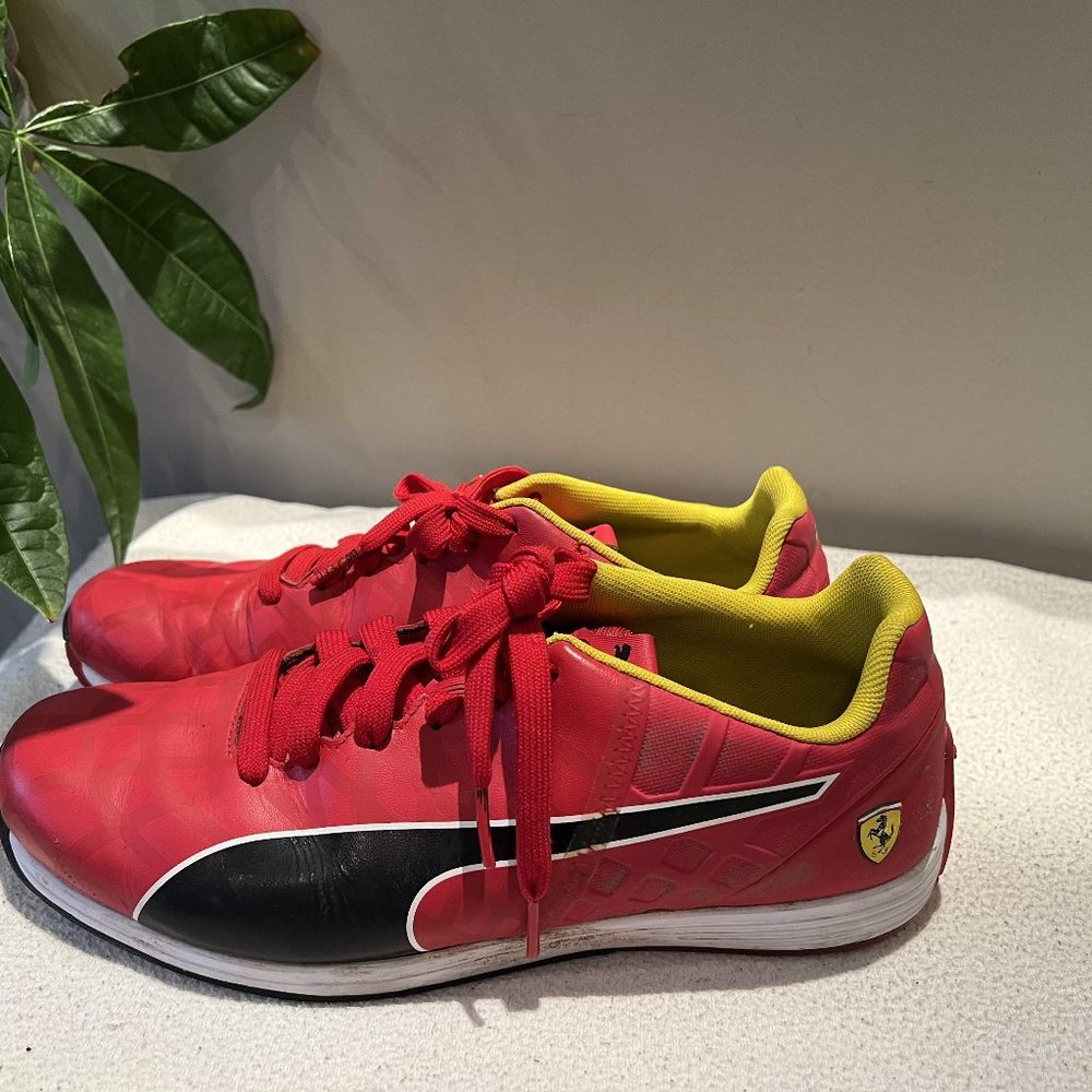Puma  EVO Speed Soccer  shoes
